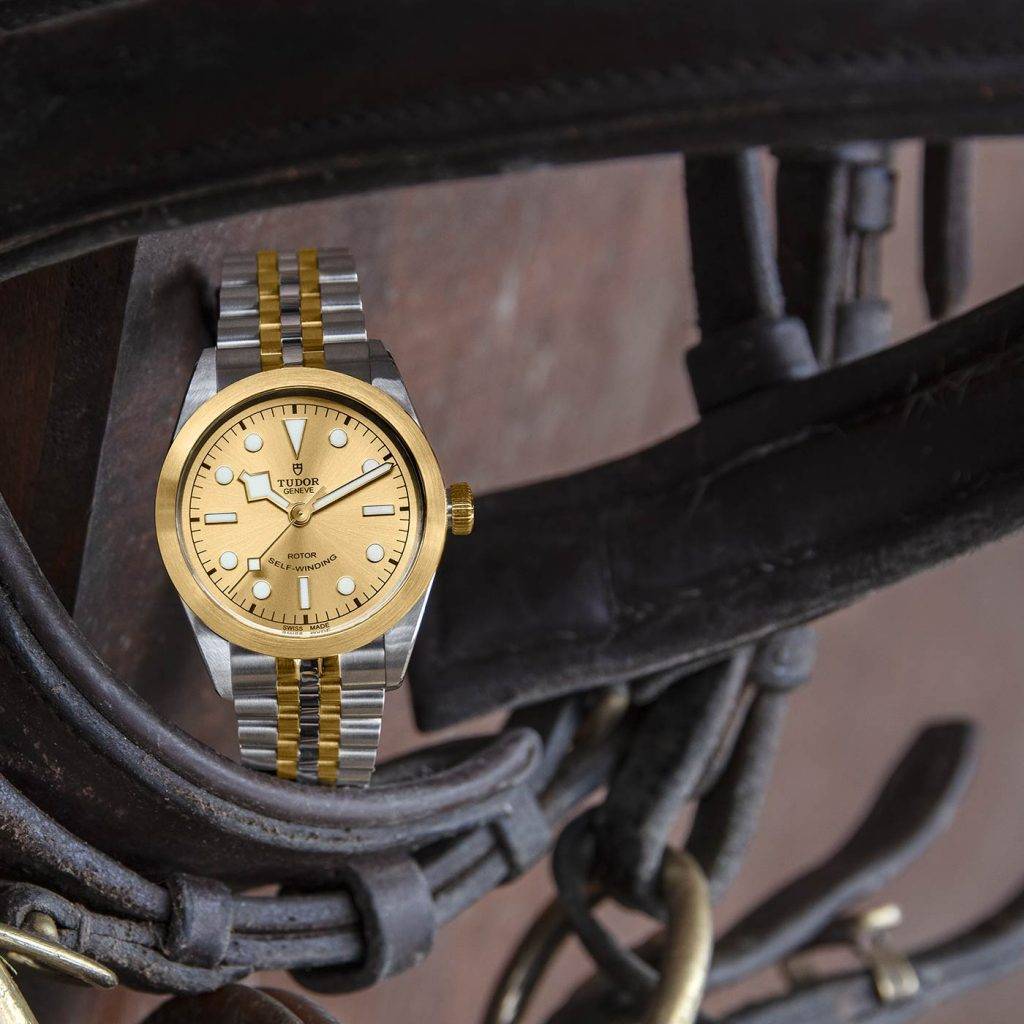 Tudor Black Bay 36 S&G