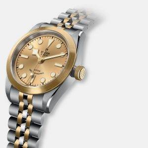 Tudor Black Bay 36 S&G