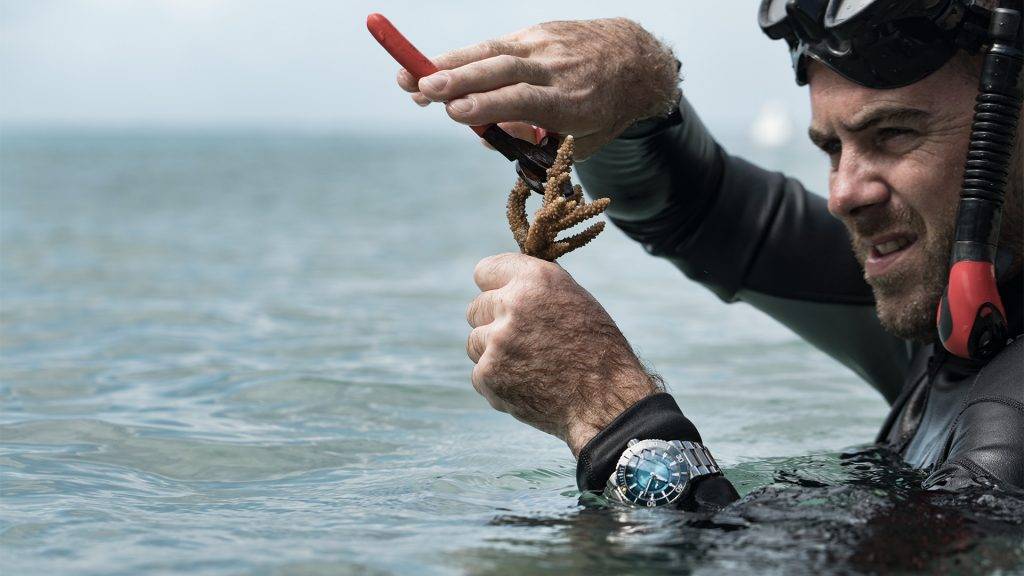Oris Great Barrier Reef Edición Limitada III