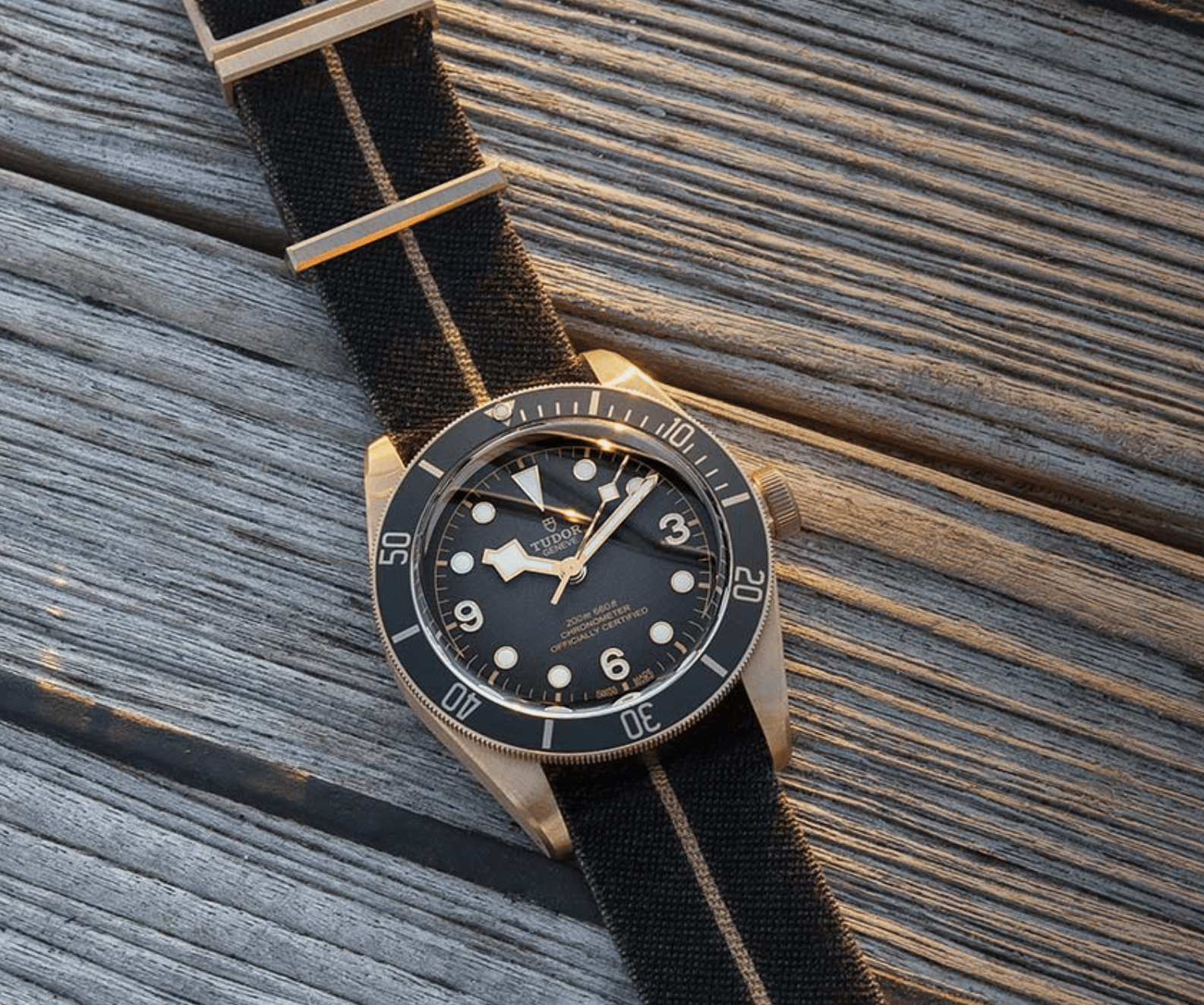 black bay bronze