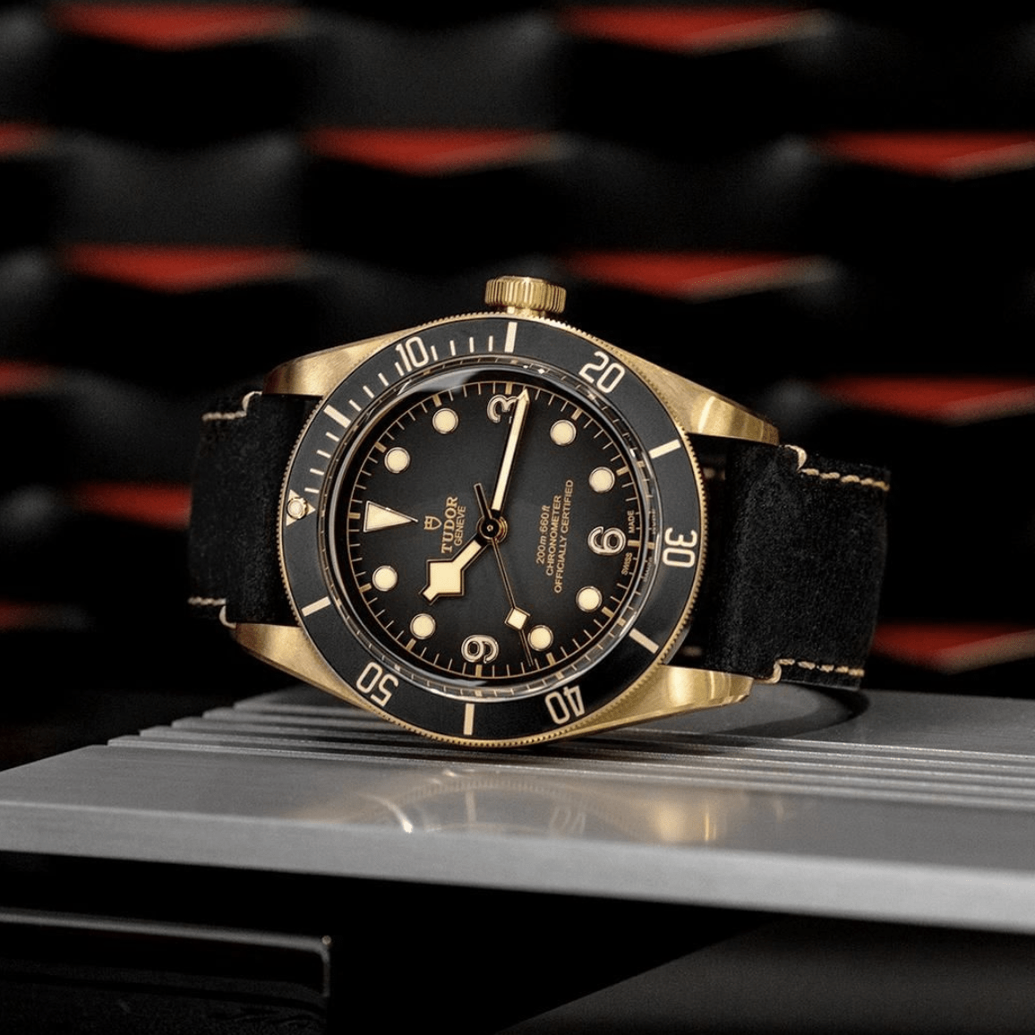 black bay bronze