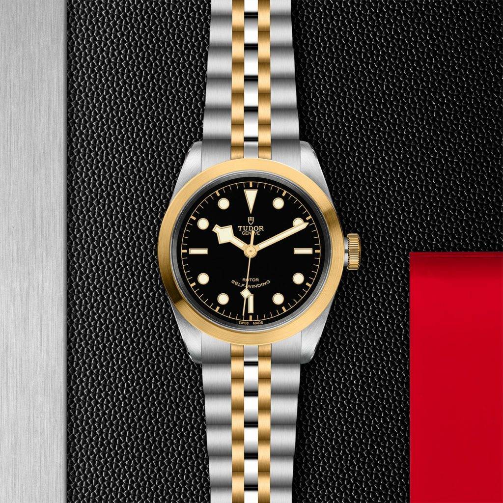 Reloj Tudor Black Bay 41 S&G