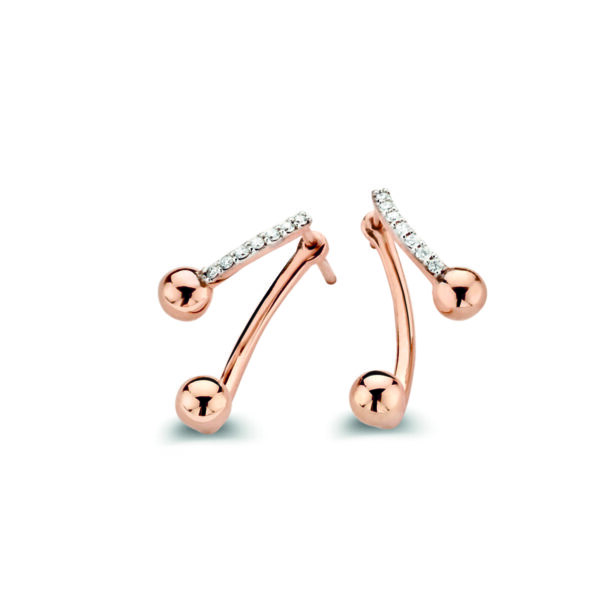 Pendientes Vulture