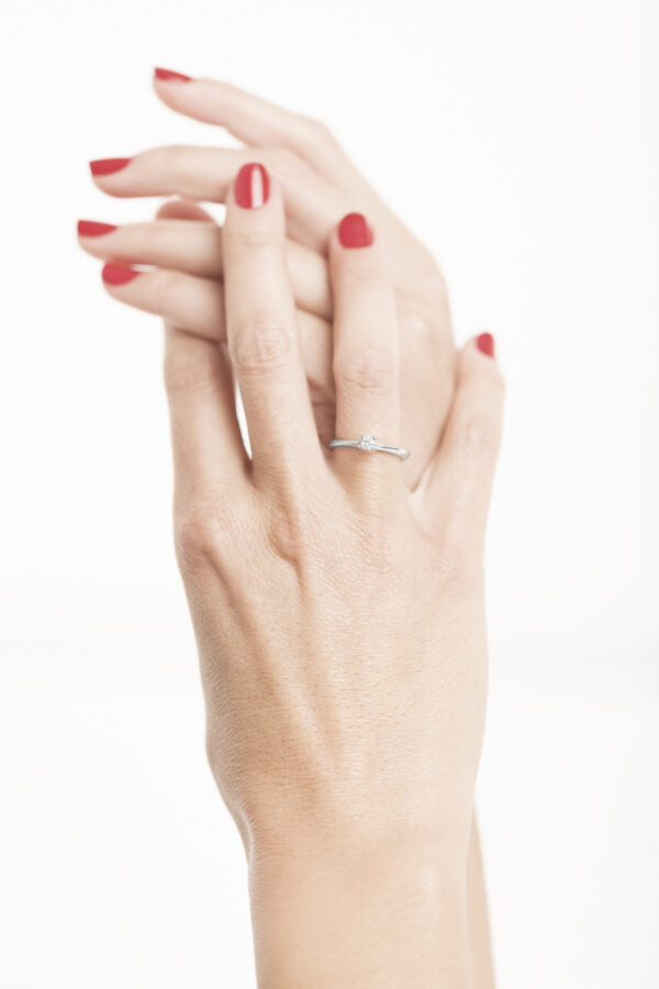 Solitario - Imagen 2
