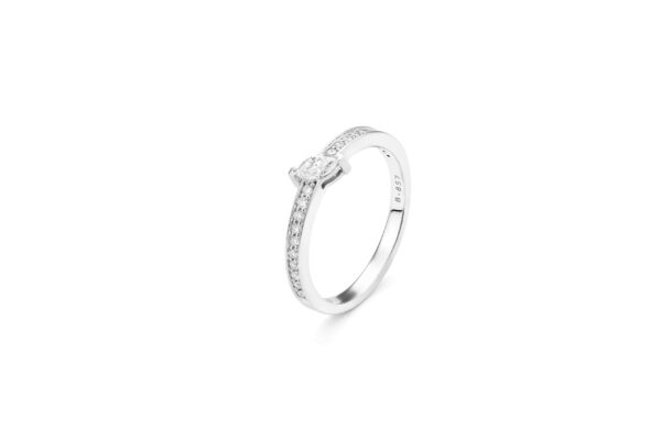 Anillo