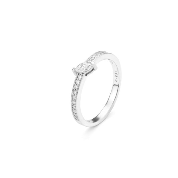 Anillo