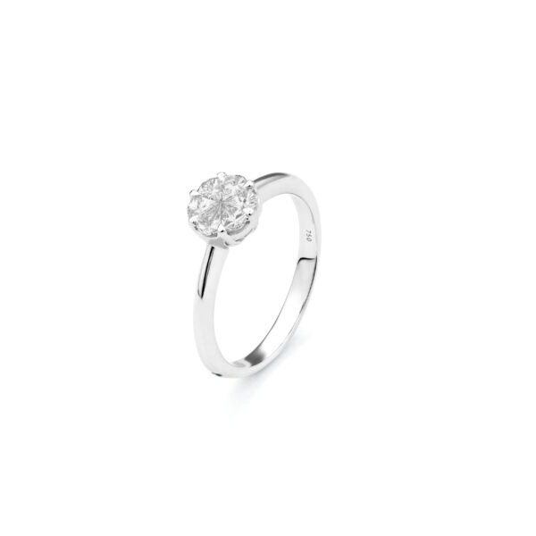 Anillo