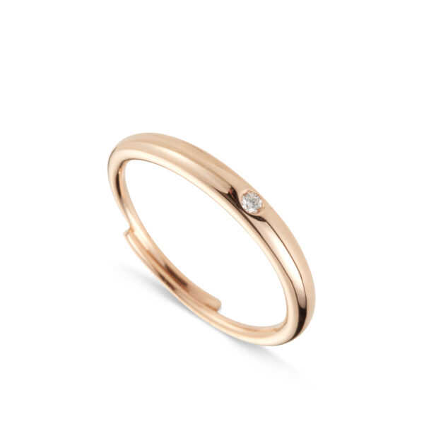 Anillo Base