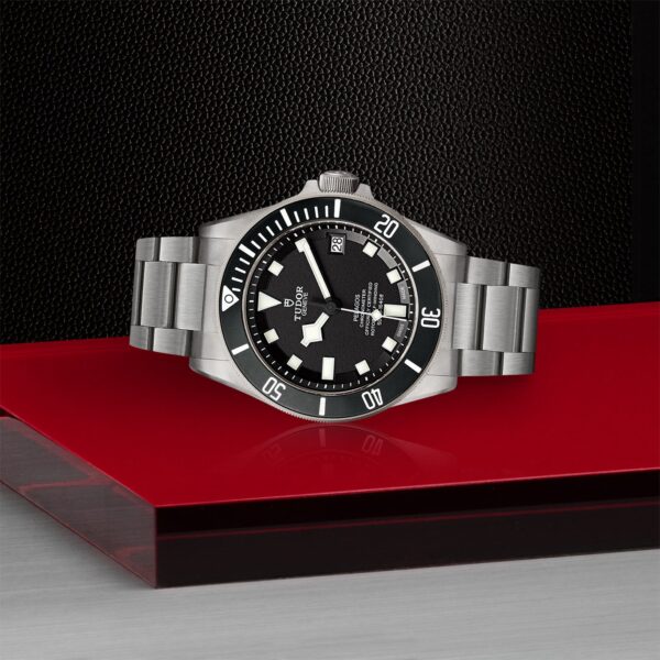Tudor Pelagos - Imagen 3