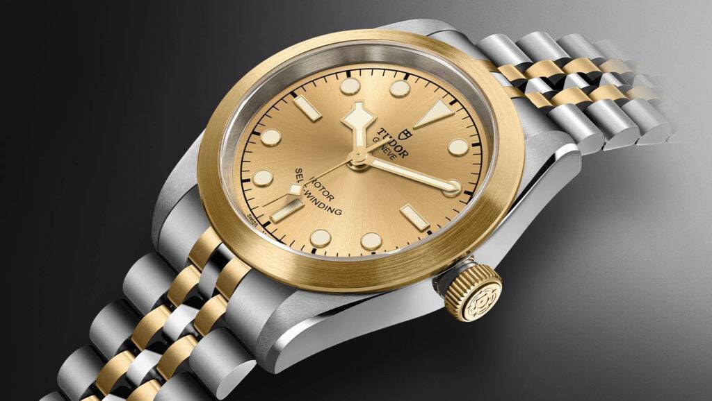 Tudor Black Bay 36 S&G