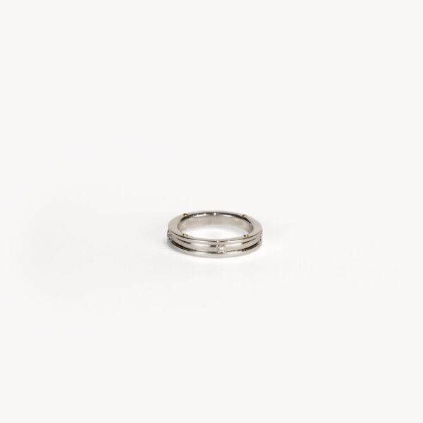 alianza_compromiso_chimento_oro_blanco_1A08481B15120