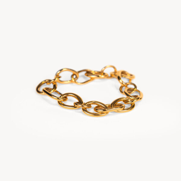 Pulsera Aspis de Mattioli_MBR73021R