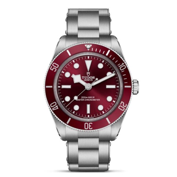 tudor-black-bay-58-burdeos-acero-39mm-m7939a1a0ru-0002
