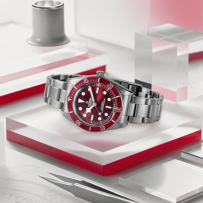 tudor-black-bay-58-m7939a1a0ru-0002